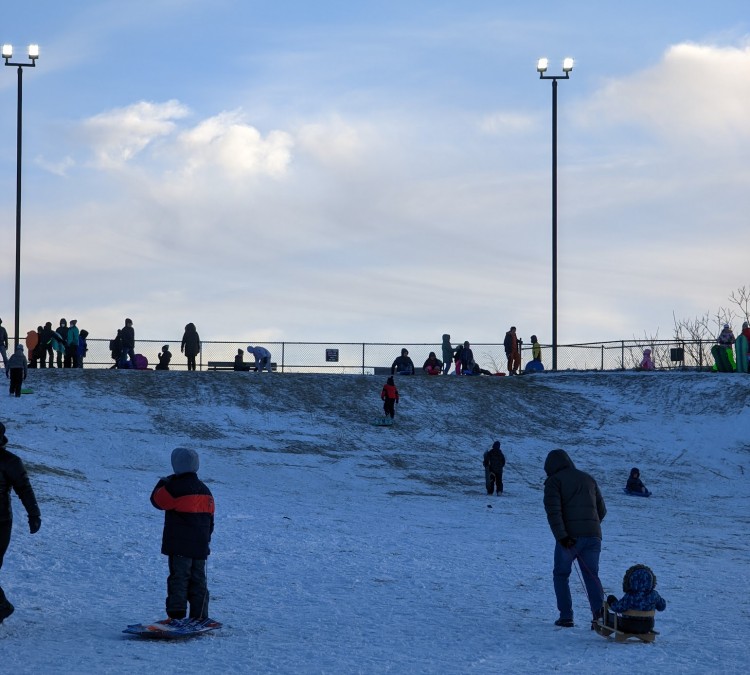 century-park-sledding-hill-photo